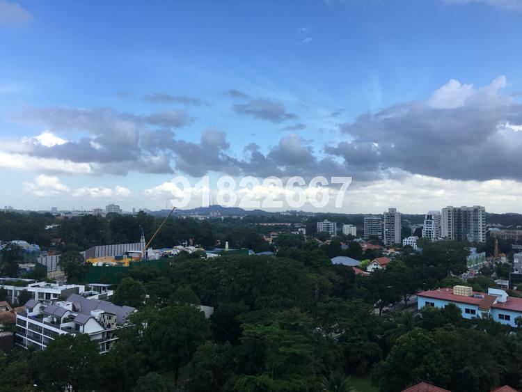 The Solitaire (D10), Condominium #114986852